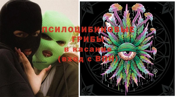гидра Аркадак