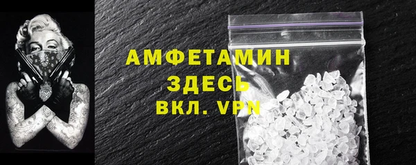 гидра Аркадак