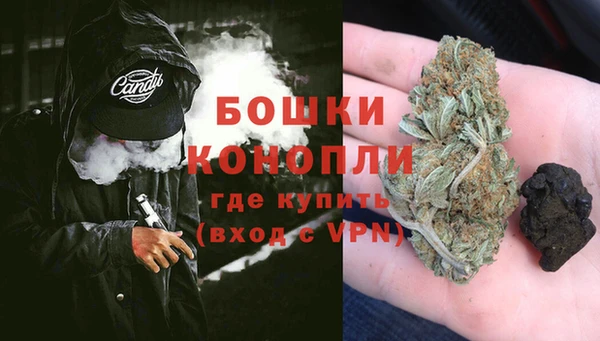 гидра Аркадак