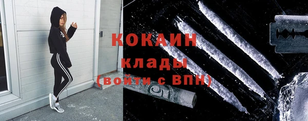 гидра Аркадак