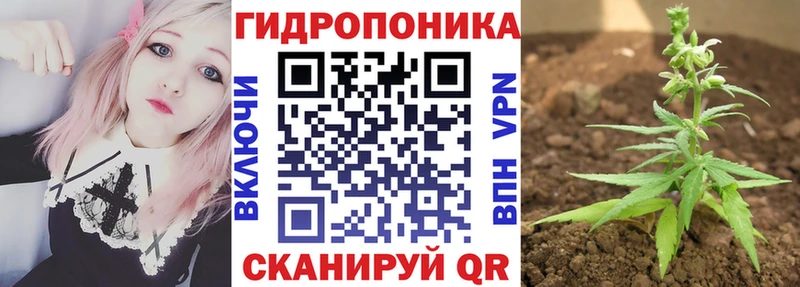 Бошки марихуана индика  где купить наркоту  Тейково 